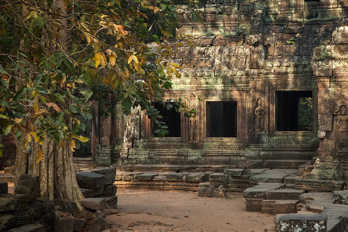 Forest Temple of Angkor, photo