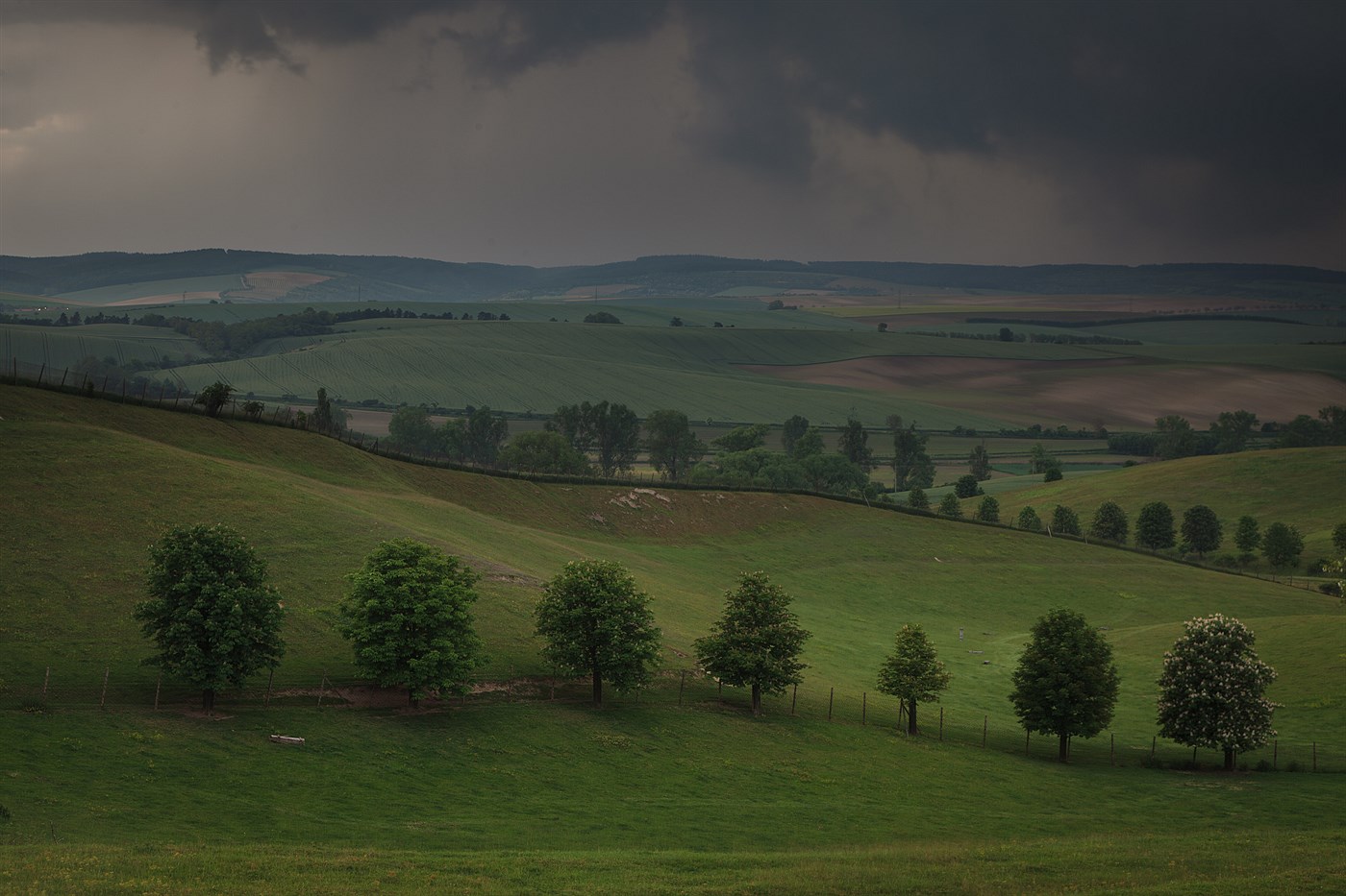 Šardice, photo